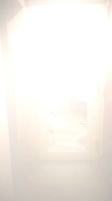 画像287